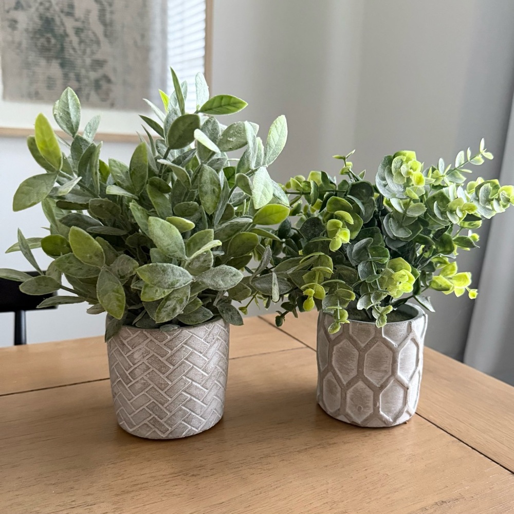 Green Plants In Cream Textured Ceramic Pots Set of Two